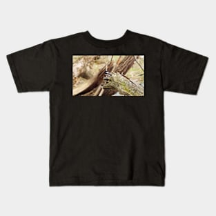 Black-capped Chickadee Perched On a Log Kids T-Shirt